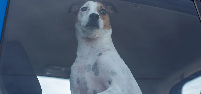 Car Lockout Solutions in Stanton, California